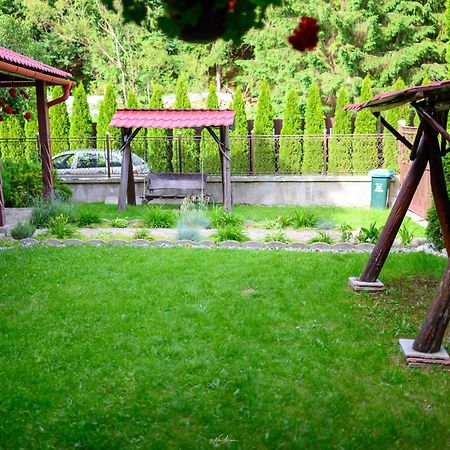 Casa Alina Βίλα Arieşeni Εξωτερικό φωτογραφία